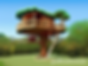Visit the Magical Treehouse of Innovation