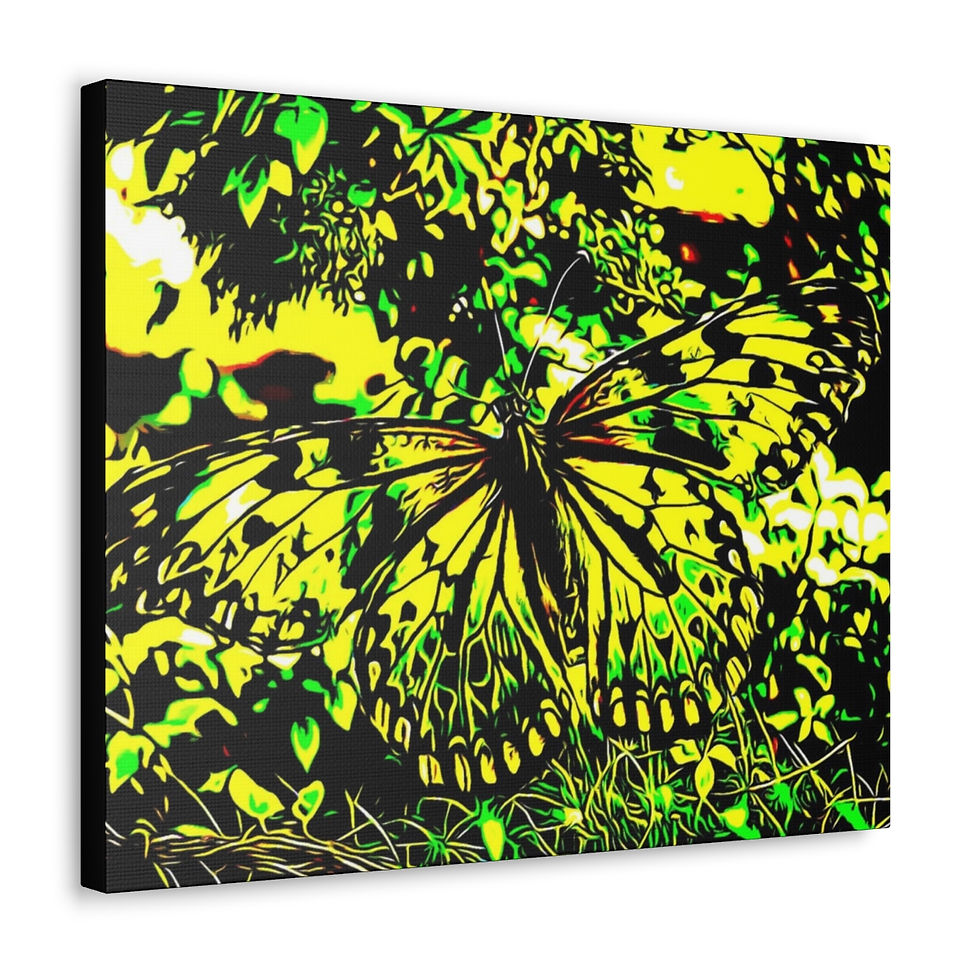 Thumbnail: Iridescent Butterfly Wings - Wine & Art Bar Gallery