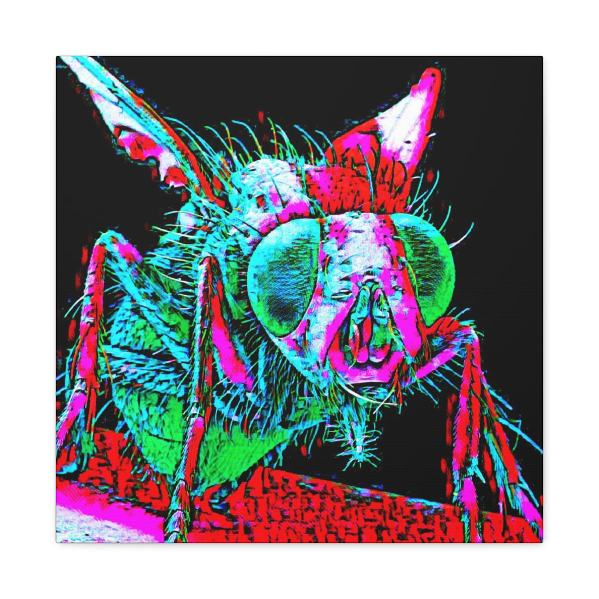 Buzz! - Headshop Gallery Edition 