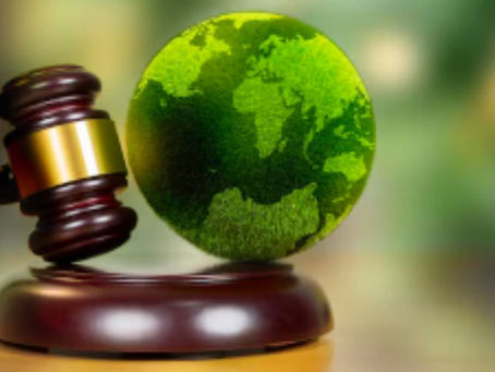 How the Right Environmental Law Firm and Attorneys Help You Stay Compliant and Green?