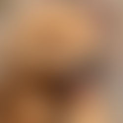 Lei Joca: Viagens de Avião Mais Seguras para Nossos Pets