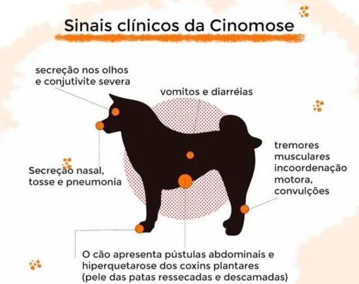 CINOMOSE CANINA O QUE É?