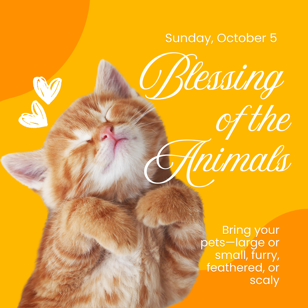 Blessing of the Animals