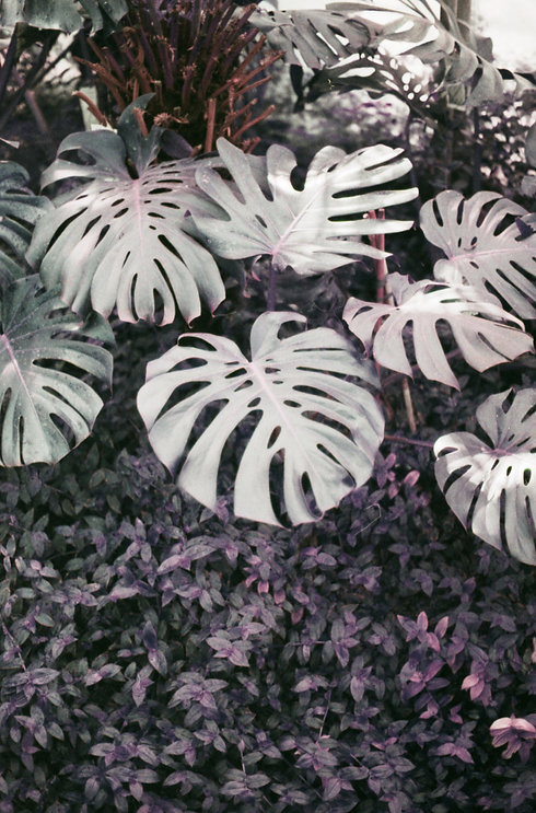 84nikonfe2-11.jpeg