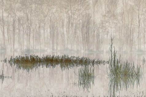 © Christophe Socco Lucca