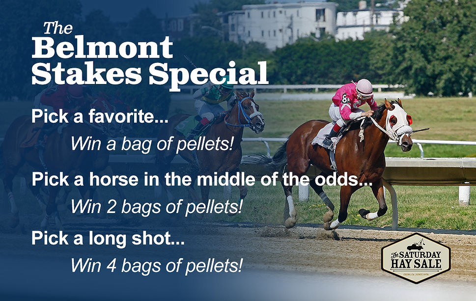 Belmont Stakes Special.jpg