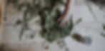 sophie-villard-bienvenue-naturopathie-naturopathe-savoie