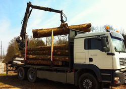 Holztansport
