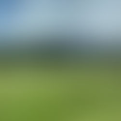 Perceptions 01/31/23