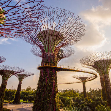 Singapore: Trying to Right the Wrongs of Urbanization