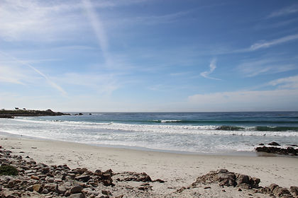 IMG_7469.JPG