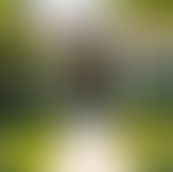 24/7 Rental Management for Hassle-Free Property Success