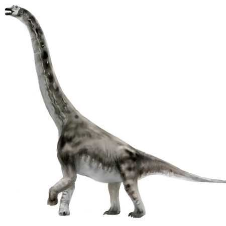 abydosaurus-small_14.jpg