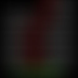 ゴールデンウイーク予定