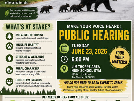 Fight to Save Our Forests!