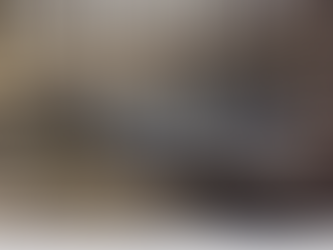 Data Center Ordinance: Wolf in Sheeps Clothing?