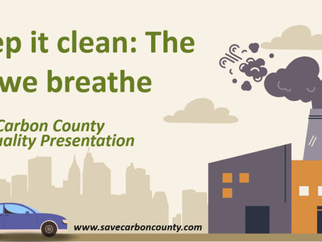 Childhood's Enemy: Air Pollution