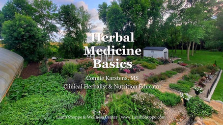 Herbal Medicine Basics