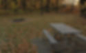 Carl Johnson Park Picnic Table & Fire Ring