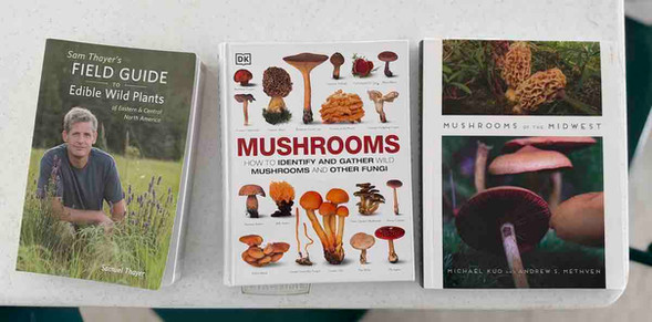 Some of Olena's book recommendations