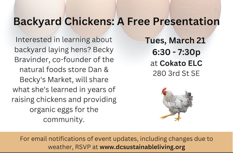 Backyard Chickens by Becky Bravinder