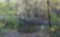 Wildlife County Park River Access