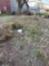 Here's where the large vent comes out behind and above the buried cellar. Greg sometimes caps the vent to prevent very cold air from getting in