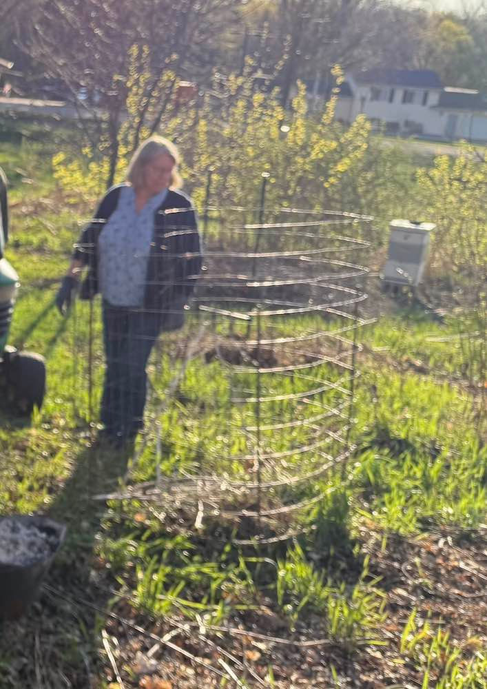 Welded wire bent into a ring can be used to contain a compost pile.