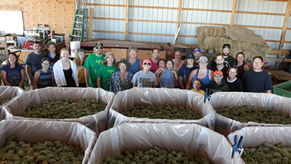 Volunteering in Cokato