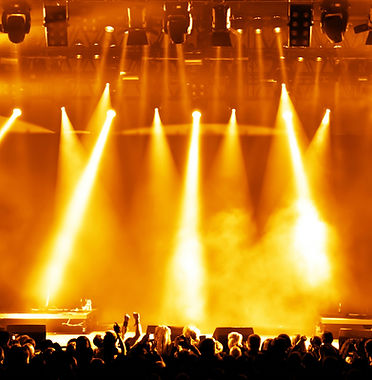 Concert Crowd