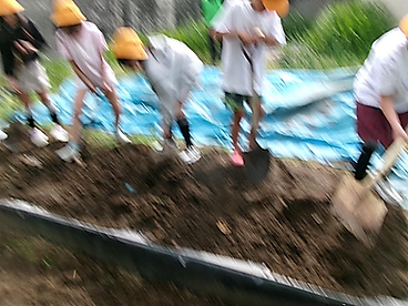 土戻し.png