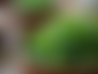 ดีท็อกซ์ผมด้วยวิธีธรรมชาติสำหรับคนไทย: ทางออกเพื่อผมสวยสุขภาพดีอย่างมีประสิทธิภาพ