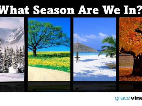 What Season Are We In?