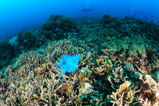Water Stewardship in a Circular Island Economy