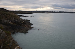 A0C_2479.JPG