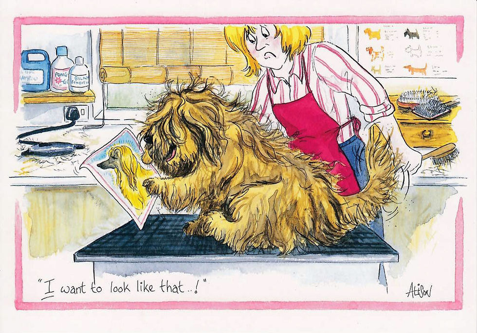 Humorous cartoon art print by Alison Lingley of a scruffy mongrel showing a dog groomer a picture of a beautiful dog