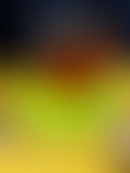 Kuva, jossa kahvikuppi vihreän muistikirjan päällä, vieressä kaksi älypuhelinta, joissa avoimena Frendie, sekä vanhan ajan näppäimistö, jonka päällä on silmälasit. Kuvan vasemmassa yläreunassa on Frendie PRO -logo ja oikeassa R-kioskin logo.