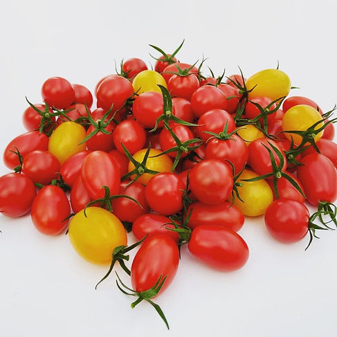 5C9_tomato.jpeg