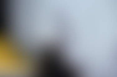 Das Ringen um den Ring