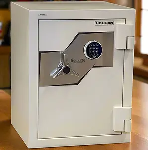 Hollon security safe