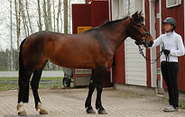 VauhdinVappu (8).jpg