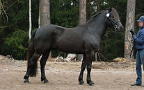 KatallinHamilton030416 (2).jpg