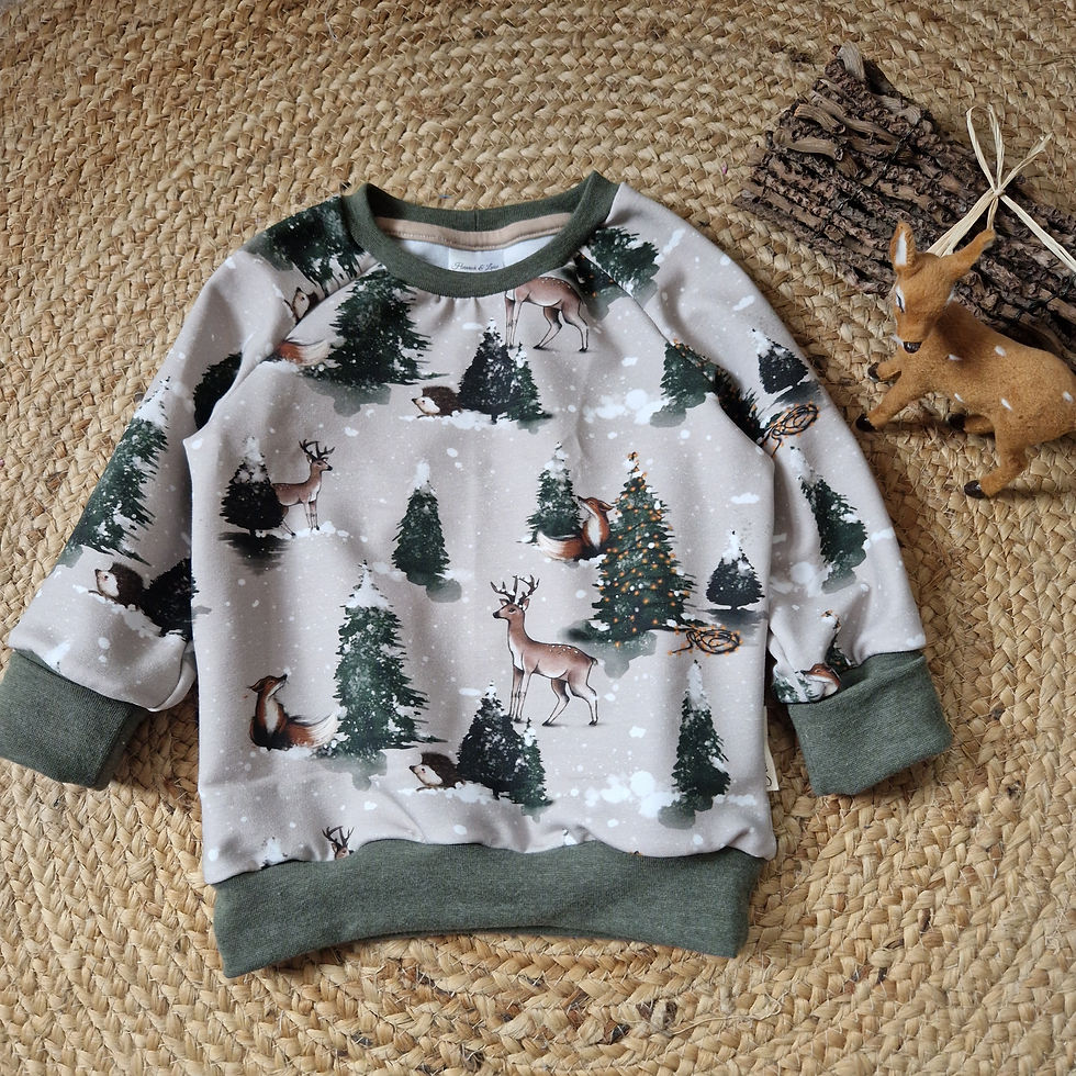 Sweater Heinrich, Gr. 86/92; 98/104