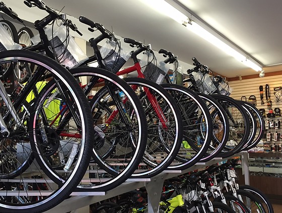 adams bike shop