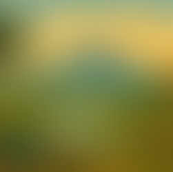 Essential Packing List for Your South America Adventure