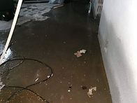 IMG_20210817_103016.jpg