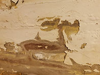 IMG_20201230_131159.jpg