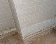 IMG_20201230_132306.jpg