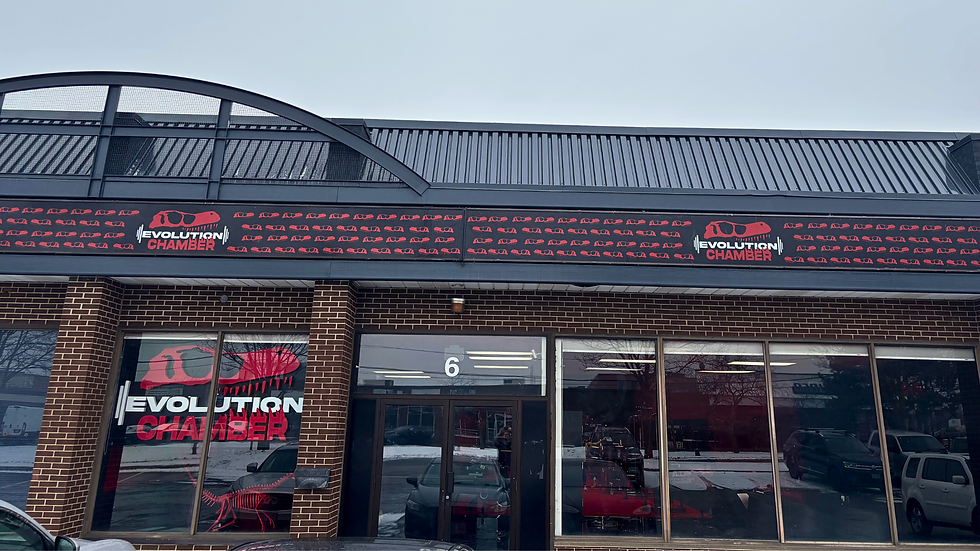 Personal Training Mississauga / Etobicoke