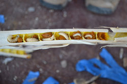 Células de cria